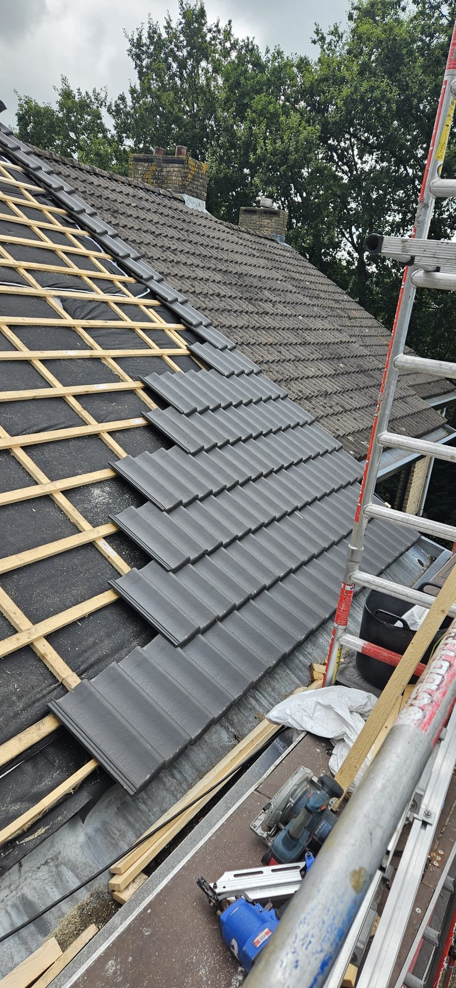 WhatsApp Image 2026-01-05 at 11.41.48 AM