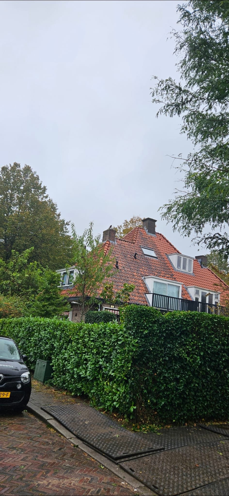 WhatsApp Image 2026-01-05 at 11.41.49 AM