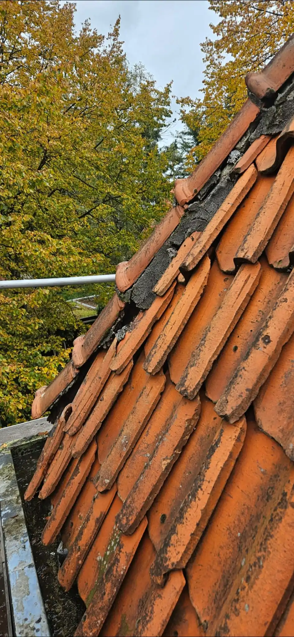 WhatsApp Image 2026-01-05 at 11.41.50 AM (1)